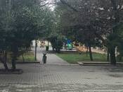 Satılır 1 otaqlı köhnə tikili 25 m², Memar Əcəmi m., photo 5 from 8