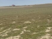 Satılır  torpaq 50 sot, Məmmədli q., photo 2 from 5