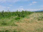 Продается  участок 4.4 сот, photo 7 from 8
