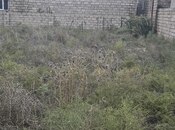 Продаётся  участок 4 сот, пос. Бина, photo 1 from 5