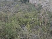 Продаётся  участок 4 сот, пос. Бина, photo 2 from 5