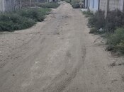 Продаётся  участок 4 сот, пос. Бина, photo 5 from 5