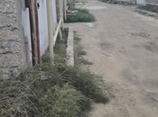 Продаётся  участок 4 сот, пос. Бина, photo 3 from 5