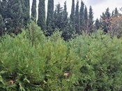 Продается 7-комн. дом/дача 450 м², пос. Горадил, photo 3 from 8