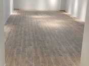 Сдается  объект 250 м², м. Низами, photo 3 from 5