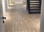 Сдается  объект 250 м², м. Низами, photo 2 from 5