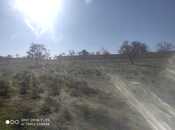 Satılır  torpaq 10 sot, Masazır q., photo 7 from 8