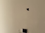 İcarəyə verilir  obyekt 70 m², Gənclik m., photo 5 from 8