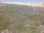 Продается  участок 30 сот, м. Ахмедлы, photo 1 from 1