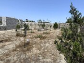 Satılır  torpaq 12 sot, Görədil q., photo 5 from 5