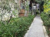 Продается 2-комн. вторичка 35 м², м. 20 января, photo 1 from 8