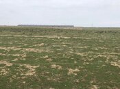 Продаётся  участок 1 200 сот, Абшеронcкий  р., photo 2 from 6