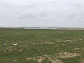 Продаётся  участок 1 200 сот, Абшеронcкий  р., photo 3 from 6