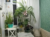 Продаётся 2-комн. вторичка 51 м², пос. Ахмедлы, photo 6 from 8
