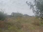 Продается  участок 12 сот, пос. Сарай, photo 7 from 8