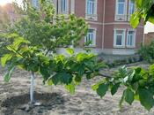 Продается 7-комн. дом/дача 250 м², пос. Сарай, photo 3 from 8