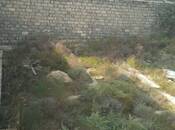 Satılır  torpaq 2.3 sot, Badamdar q., photo 7 from 7
