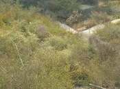 Satılır  torpaq 2.3 sot, Badamdar q., photo 3 from 7