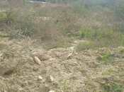 Satılır  torpaq 3 sot, Badamdar q., photo 3 from 5