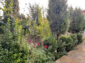 Satılır 7 otaqlı həyət evi/bağ evi 220 m², Hövsan q., photo 6 from 8