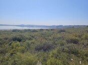 Продается  участок 30 сот, пос. Масазыр, photo 2 from 5