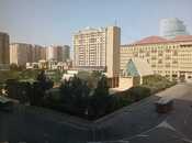 Сдаётся 20-комн. офис 3 550 м², м. Шах Исмаил Хатаи, photo 5 from 8