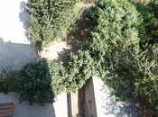 Satılır  torpaq 6 sot, Elmlər Akademiyası m., photo 8 from 8