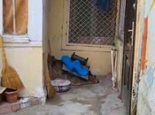 Satılır 2 otaqlı köhnə tikili 35 m², Nizami m., photo 5 from 6