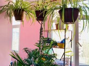 Satılır 1 otaqlı köhnə tikili 47 m², Memar Əcəmi m., photo 6 from 8