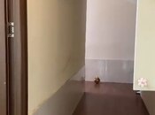 İcarəyə verilir 6 otaqlı ofis 200 m², Xalqlar Dostluğu m., photo 8 from 8