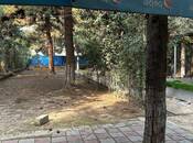 Сдаётся  объект 200 м², м. 20 января, photo 3 from 4
