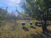 Продается  участок 5 сот, photo 2 from 8
