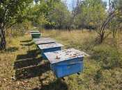 Продается  участок 5 сот, photo 1 from 8
