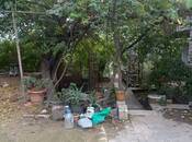 Продаётся  участок 14 сот, м. Насими, photo 7 from 8