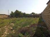 Продаётся  участок 310 сот, пос. Маштаги, photo 2 from 4