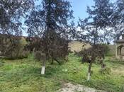 Продается  участок 6 сот, пос. Савалан, photo 4 from 4