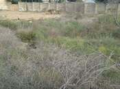 Продаётся  участок 3.5 сот, пос. Бадамдар, photo 3 from 4