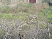 Продаётся  участок 3.5 сот, пос. Бадамдар, photo 4 from 4