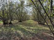 Продается  участок 200 сот, photo 5 from 8