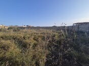 Продается  участок 10 сот, пос. Кюрдаханы, photo 8 from 8