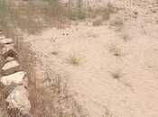Satılır  torpaq 12 sot, Nardaran q., photo 7 from 7