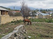 Продаётся  участок 6 сот, photo 8 from 8