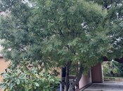 Продаётся 5-комн. дом/дача 250 м², пос. Фатмаи, photo 8 from 8