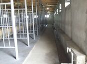 Продаётся  объект 300 м², photo 2 from 8