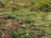 Satılır  torpaq 12 sot, Qala q., photo 2 from 5