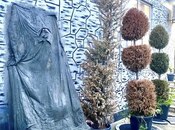 Продаётся 3-комн. дом/дача 110 м², пос. Пиршаги, photo 7 from 8