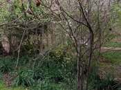 Satılır 5 otaqlı həyət evi/bağ evi 114 m², Binəqədi r., photo 8 from 8