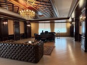Сдается 10-комн. офис 1 100 м², м. Бакмил, photo 3 from 8