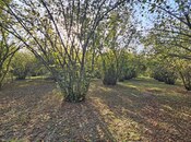 Продаётся  участок 31 сот, photo 1 from 6