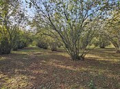 Продаётся  участок 31 сот, photo 4 from 6